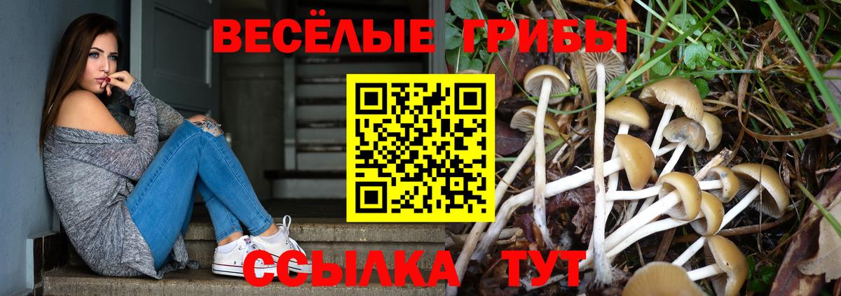 Галлюциногенные грибы Magic Shrooms Калуга